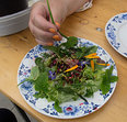 De Openlucht keuken in de Carnissetuin is weer open