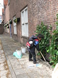 Bramenstruik naast autoband