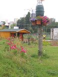 Nieuwe bloemen  en planten voor de Afrikaandertuin