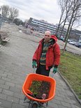 De eerste plantjes voor de Werkdorp Motorstraat