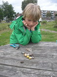 paddestoelen kondigen de herfst aan