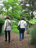 Dames in het groen