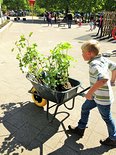 Plukfruit voor de kinderen van basisschool Sint Jan