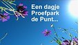 Een dagje Proefpark de Punt