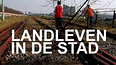 Landleven in de stad