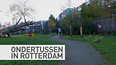 Ondertussen in Rotterdam 6