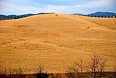 Toscane - Italië