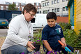 Plantjes van de Gemeentekwekerij