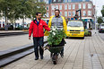 Het Oleanderplein wordt groen