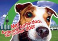 Met Antenne Rotterdam de zomer door (wk 29)