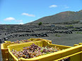 Wijsheid uit Lanzarote