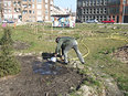 Peter's Tuin Dagboek