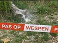 Wespen terreur