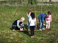 Speelhut op de poldertuin