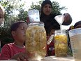 Op de Buitenplaats NU: Vlierbloesem plukken en limonade maken