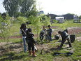 Bamboebossen op het Eco Kinderpark