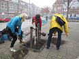 Bomen planten deel 2