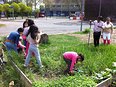 Vakantie??? Keihard werd er gewerkt op Ecokinderpark