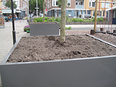 Kleurrijke Boombakken op het Oleander plein