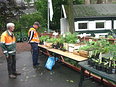 Planten ruilen met de Botanische tuin Afrikaanderwijk