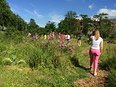 Slow gardening, een stap verder in het Proefpark