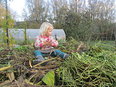 Carnissetuin maakt zich op voor de winter